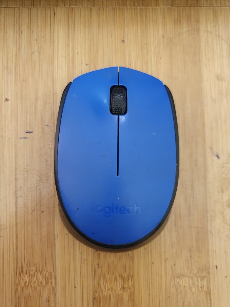 Logitech M171 wireless mouse in blue